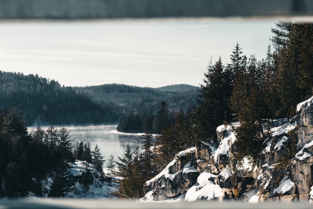 abcdhe 14 Choosing the right sewing machine foot is crucial for achieving professional-looking results in your sewing projects. The sewing machine foot you use can greatly impact the quality and precision of your stitches, as well as the ease of sewing different types of fabrics and materials. In this blog post, we will explore the differences between low shank and high shank sewing machine feet, their pros and cons, and which type is better suited for specific sewing projects.